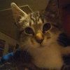 calvin_weaver
